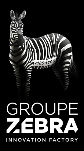 Groupe Zebra - Strategic Consulting Agency, Marketing Innovation and Design