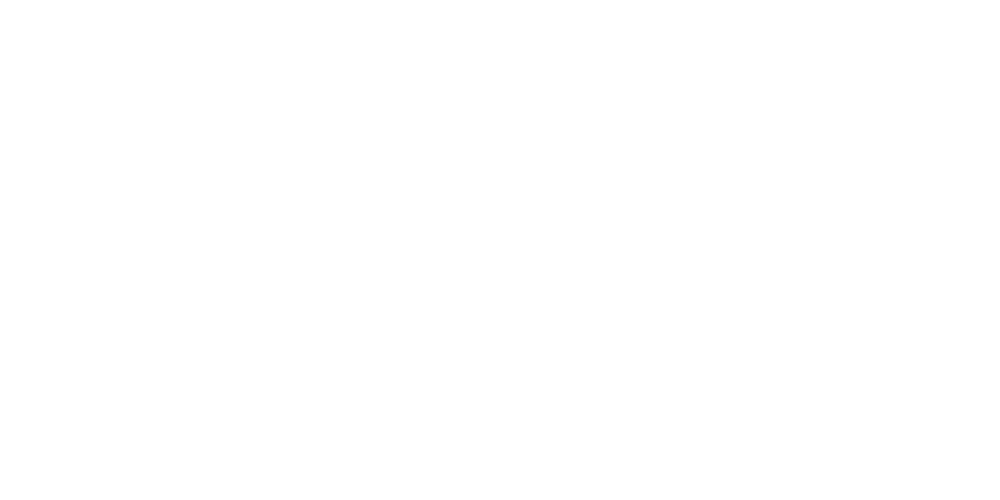 Bollé logo blanc