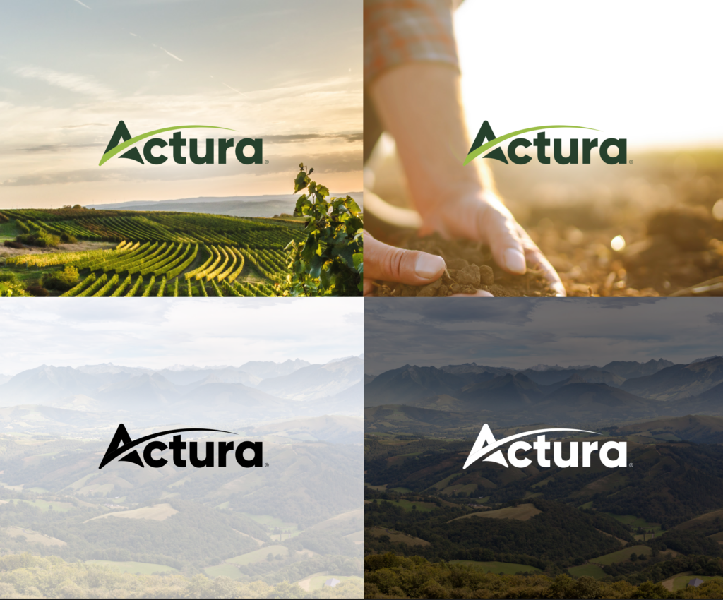 Actura x Groupe Zebra