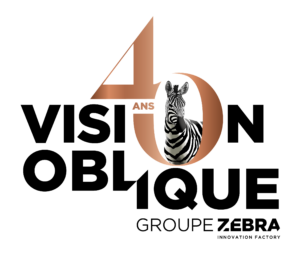 Logo 40 ans Groupe Zebra Vision Oblique