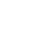 Olympique Lyonnais