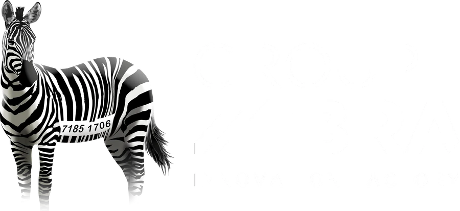 Groupe Zebra, Innovation Factory